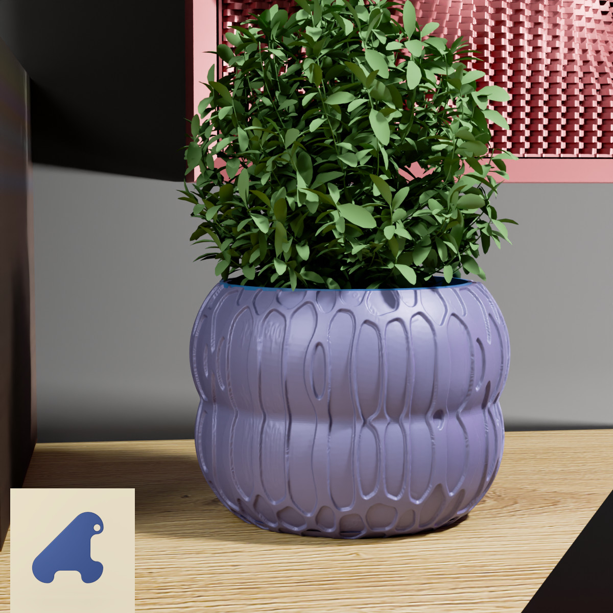 POTS pour Petites Plantes avec Cache-pot – TEXTURE swallow