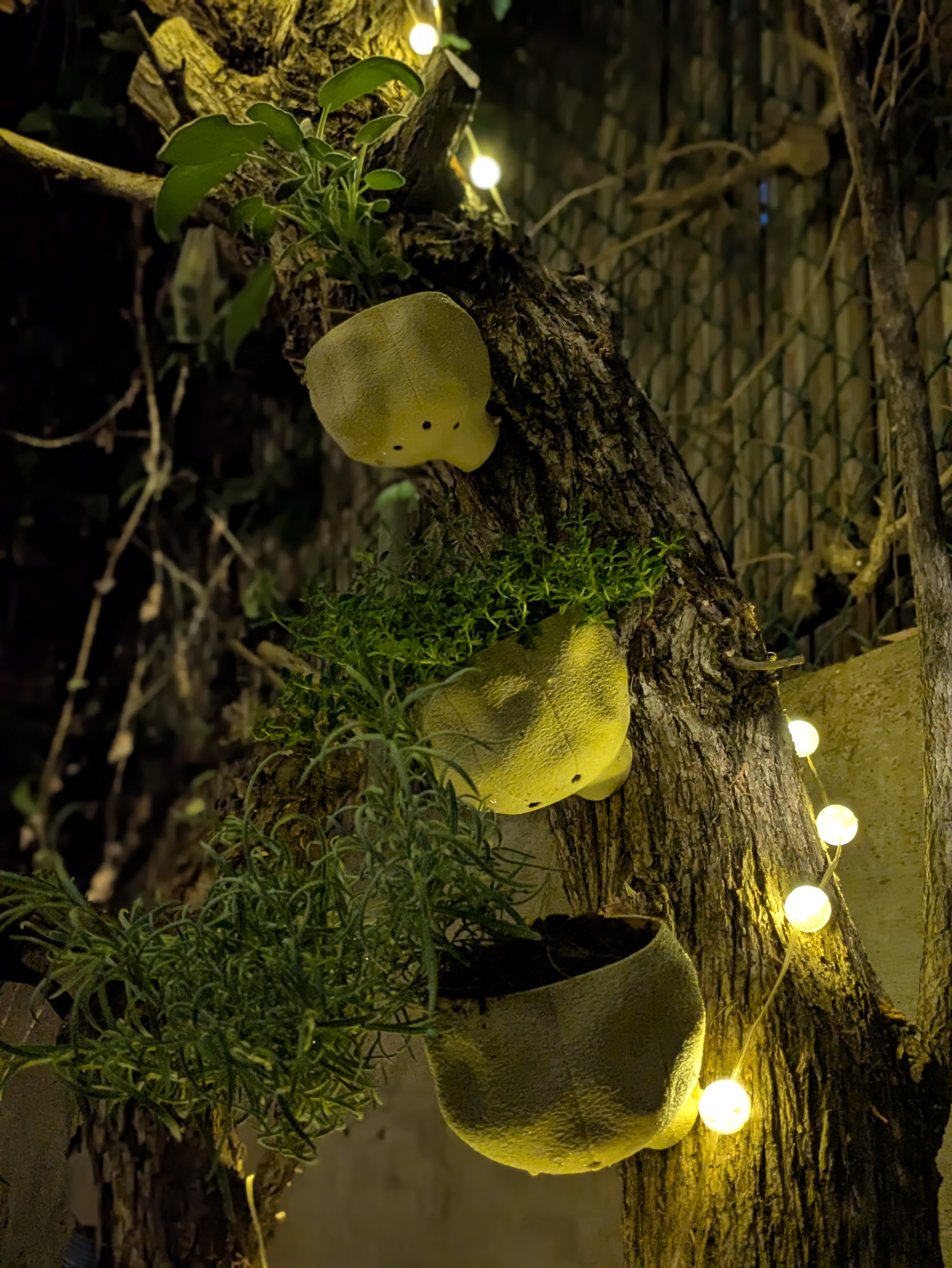Tree Planter — thumbnail 4