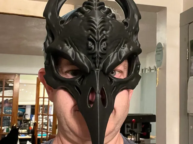 Wicked Raven Skull Mask