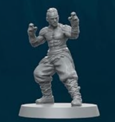 dnd human monk miniature