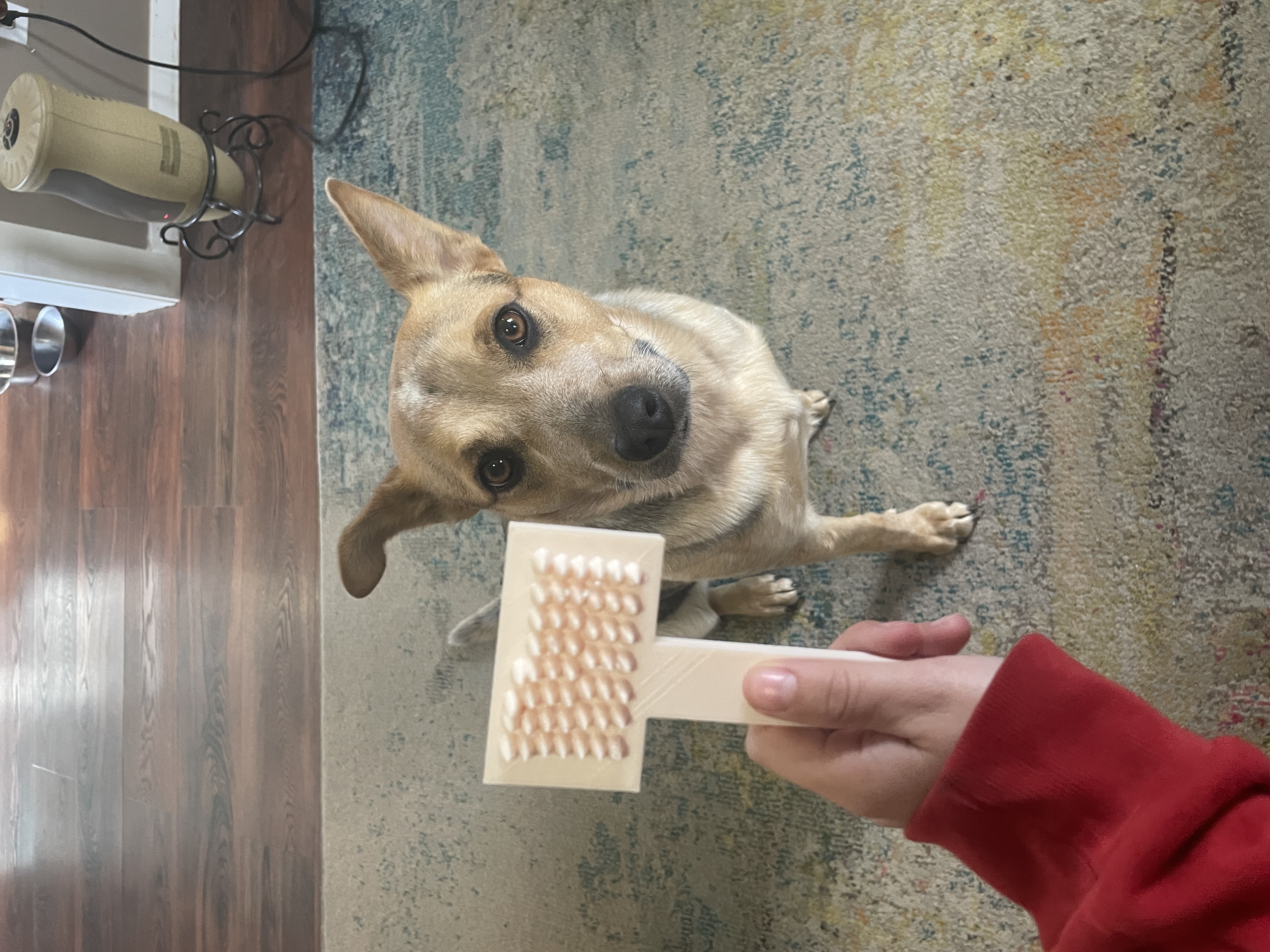 Dog/pet brush (strong bristles)