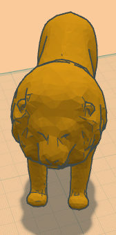 lion