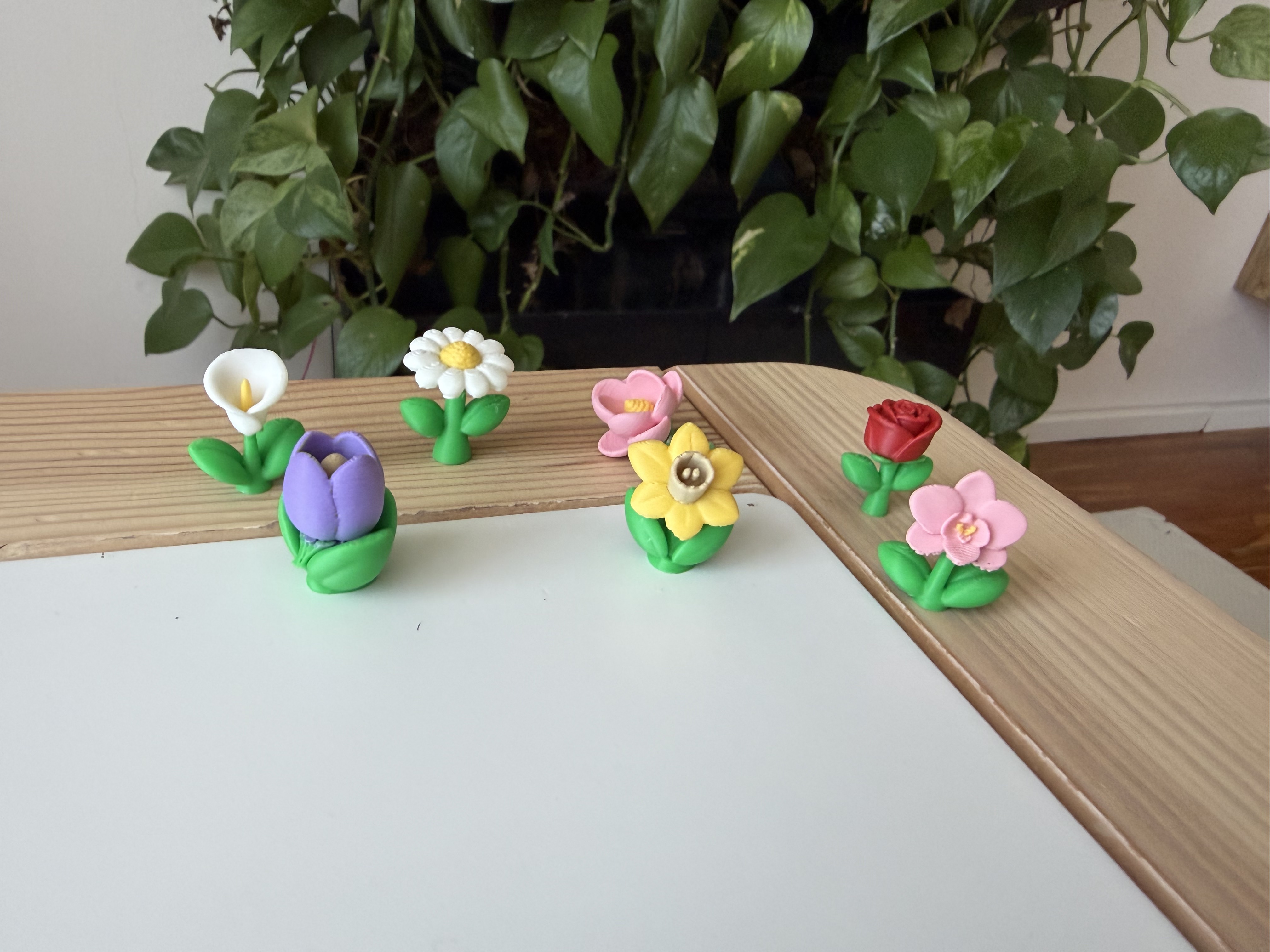 Miniatura 5 do modelo 3D Daisy