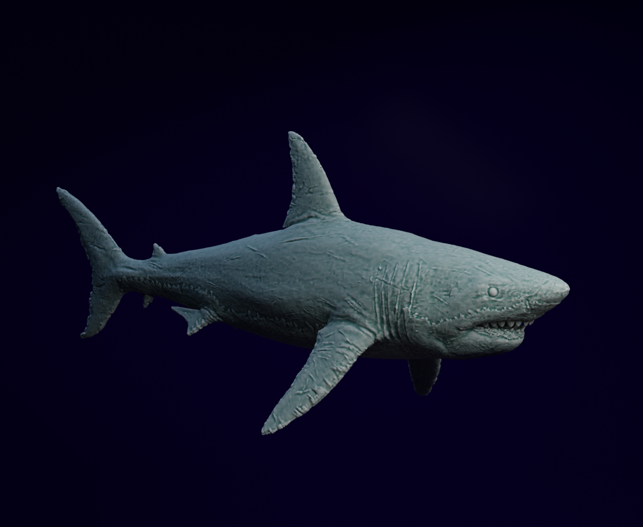 Shark