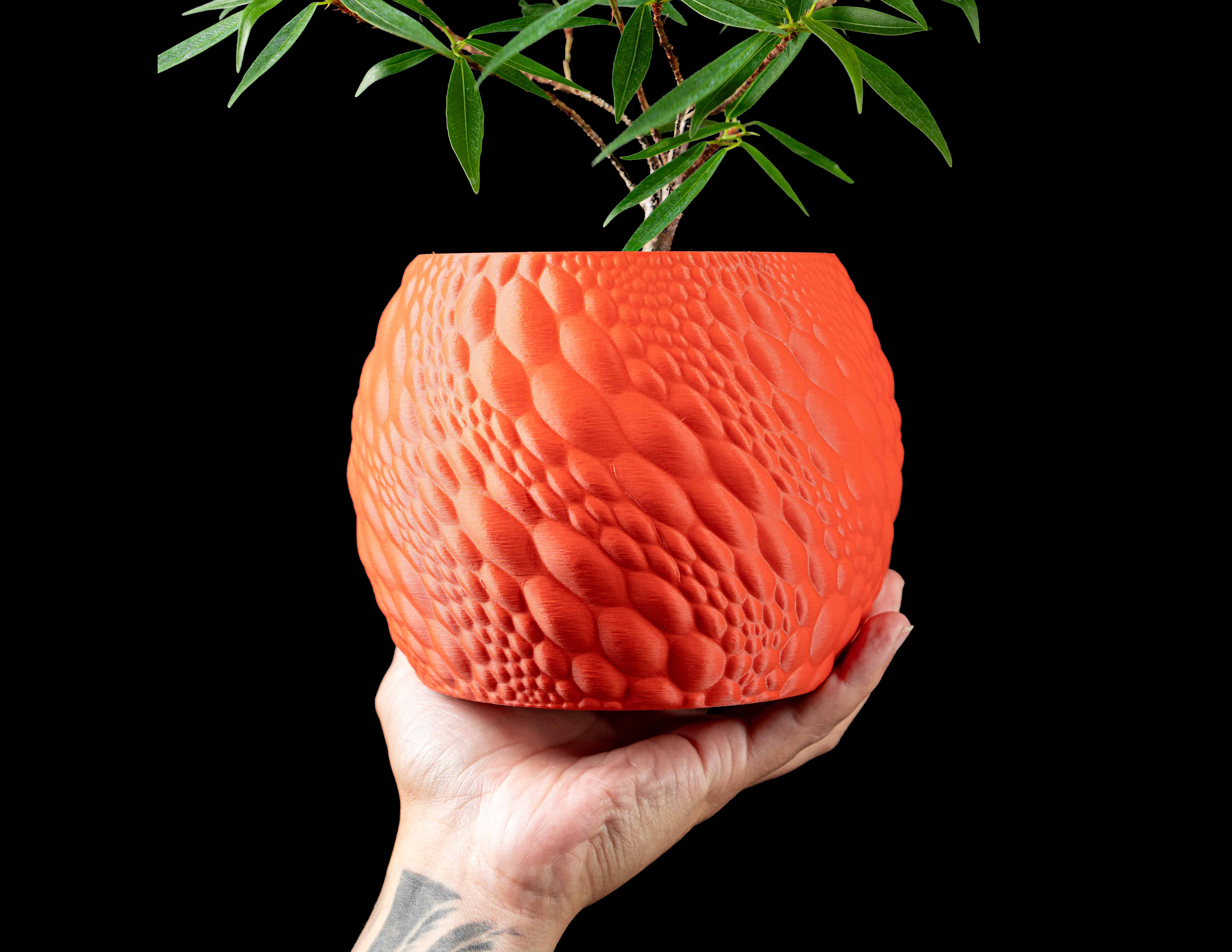 Gato Planter Pot by MODERN MACHINE 3D model