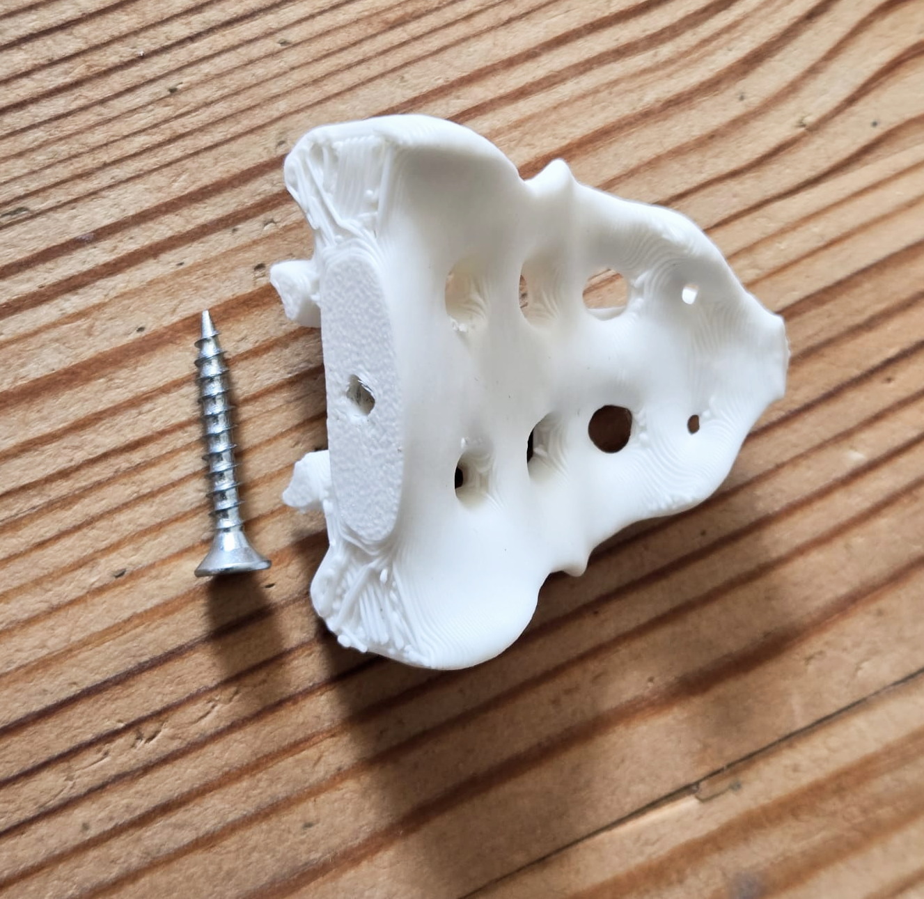 Sacrum Bone Drawer Knob — miniatura 3