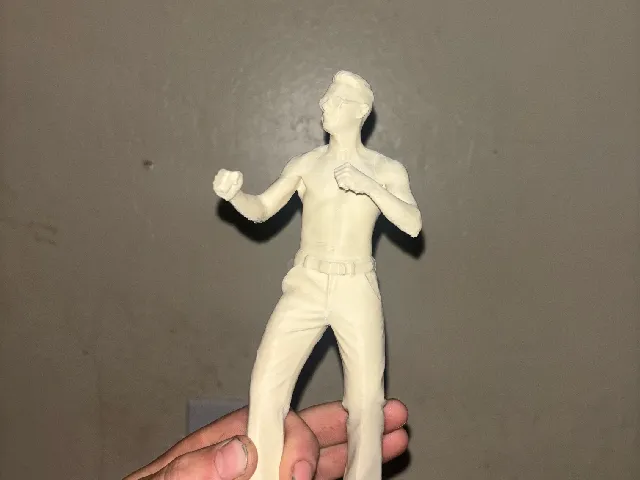 The boxer
