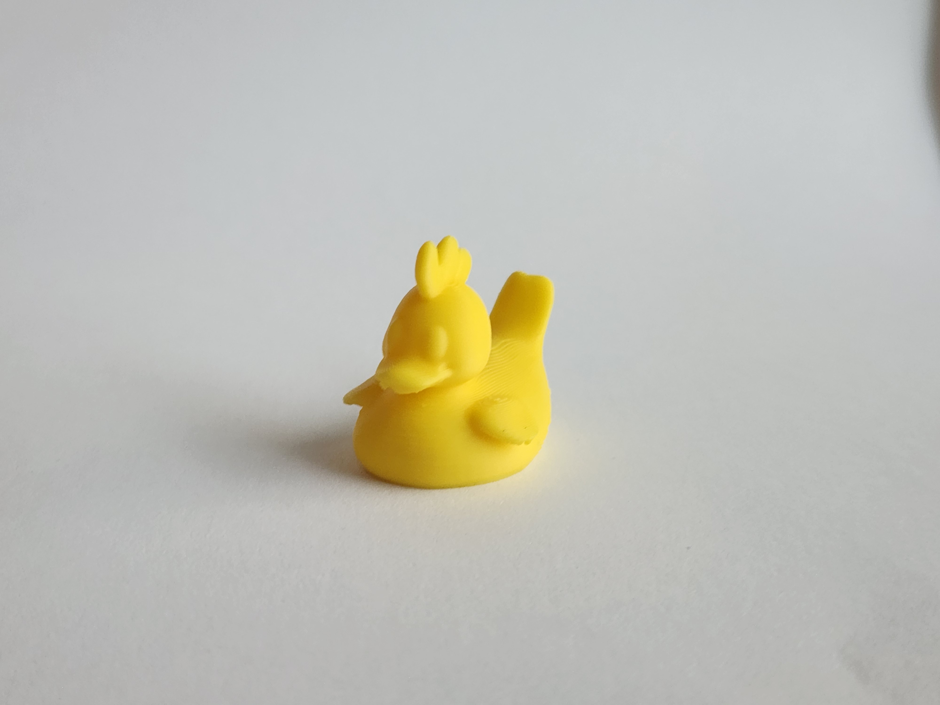 Chicken Duck
