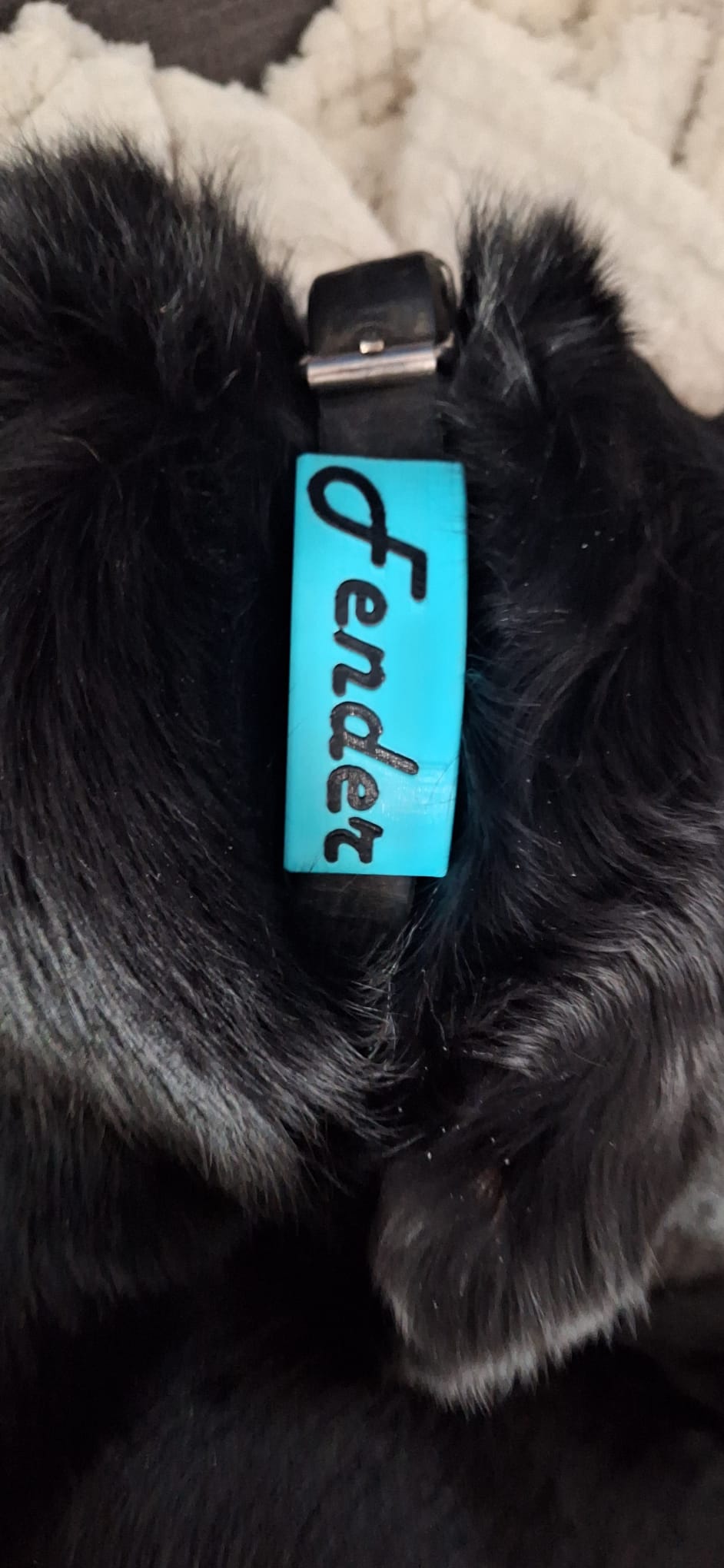 Remake of my previous dog collar sleeve