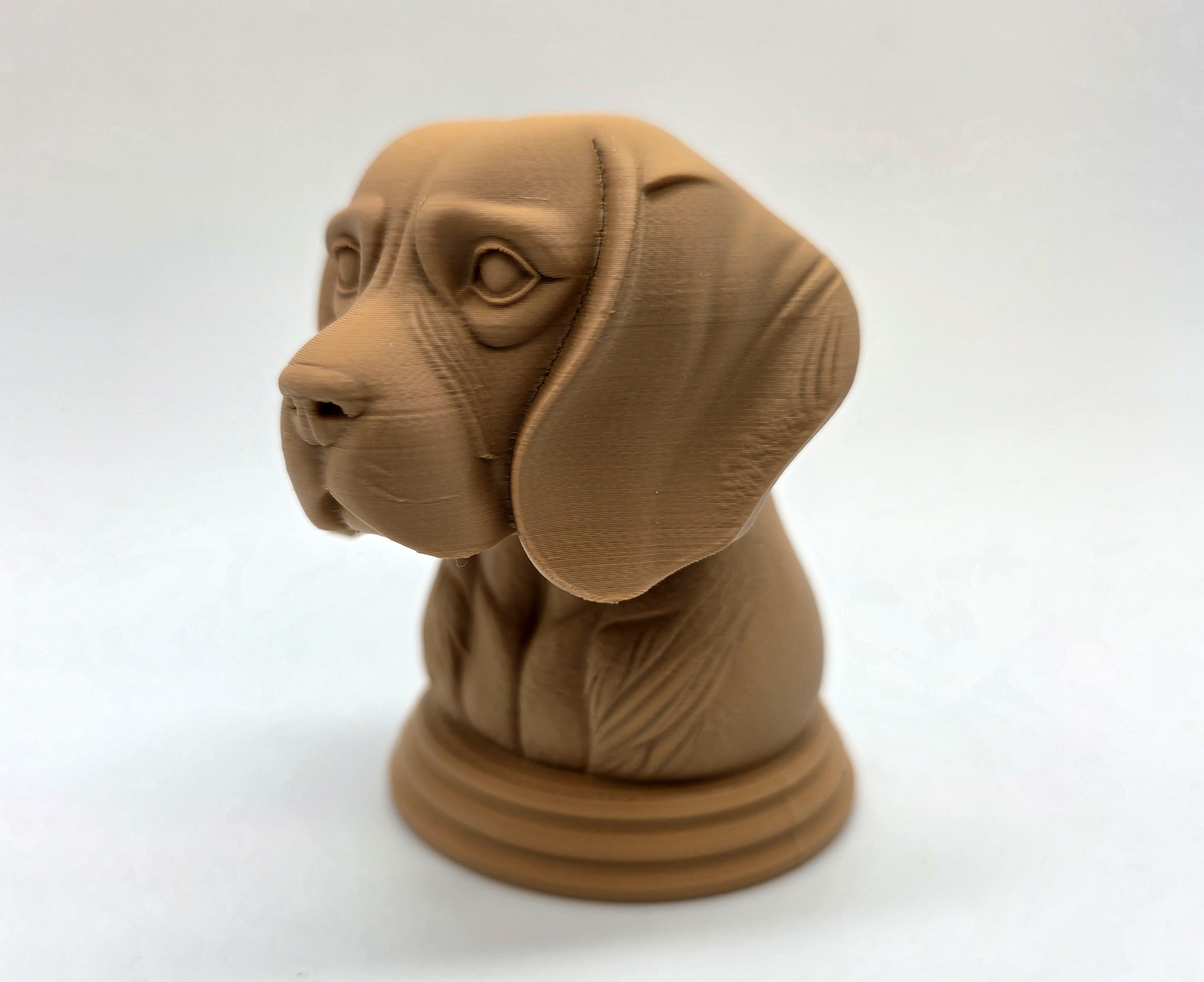 Miniatura 3 do modelo 3D Beagle Bust