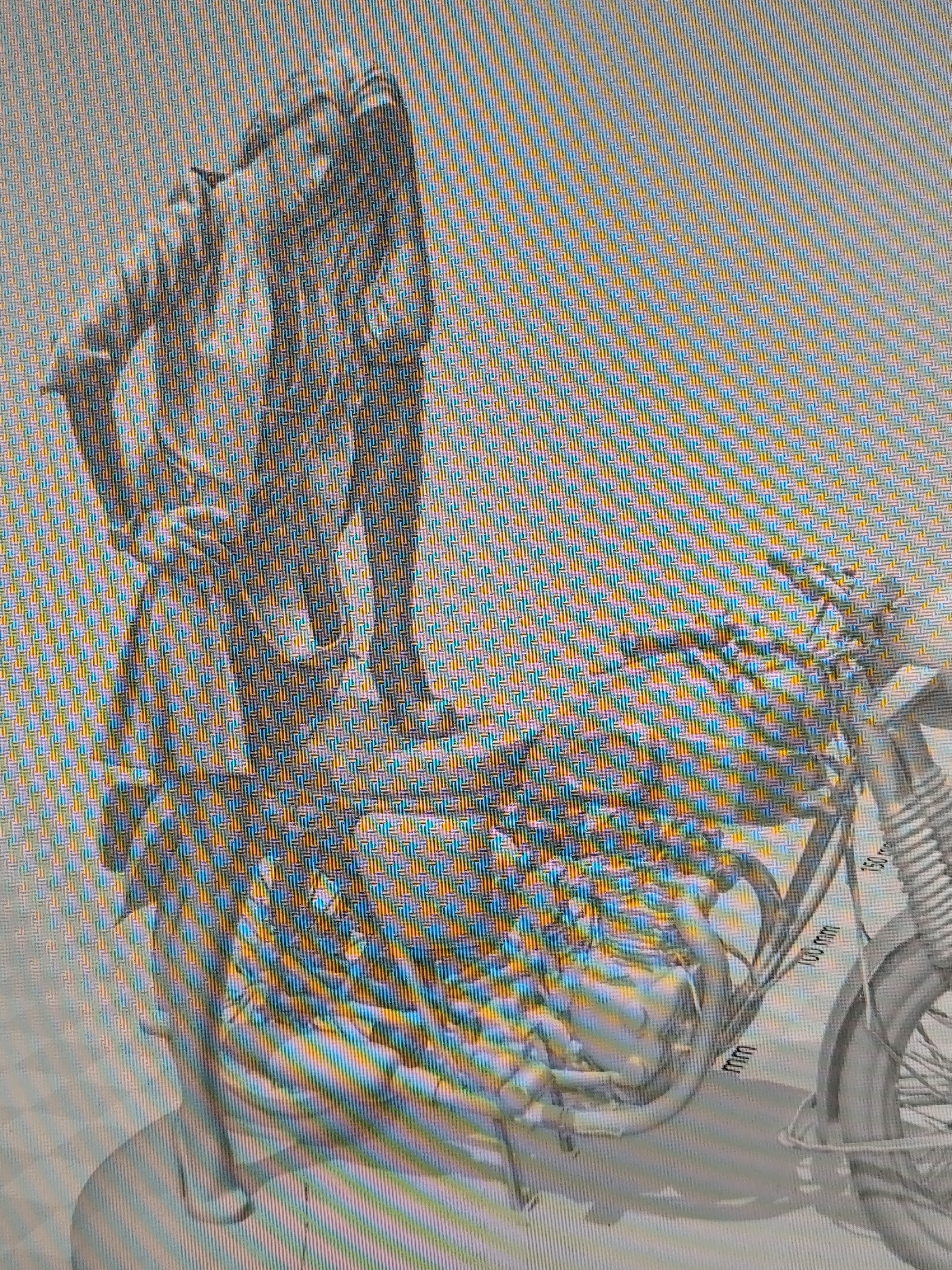 Biker Chick upgrade stronger wheels — miniatura 3