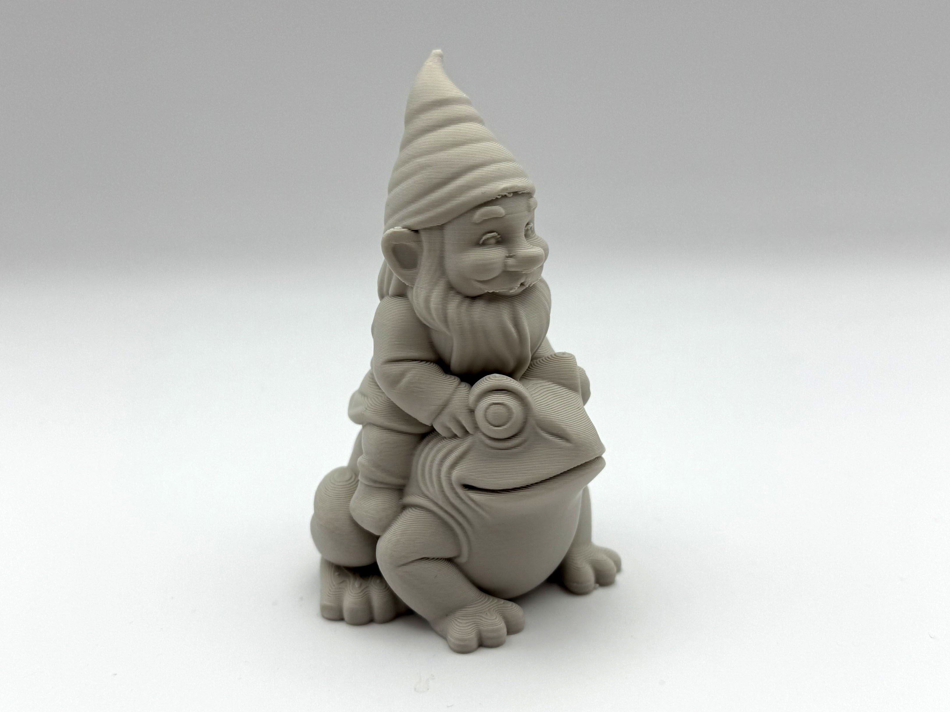 Gnome Rider