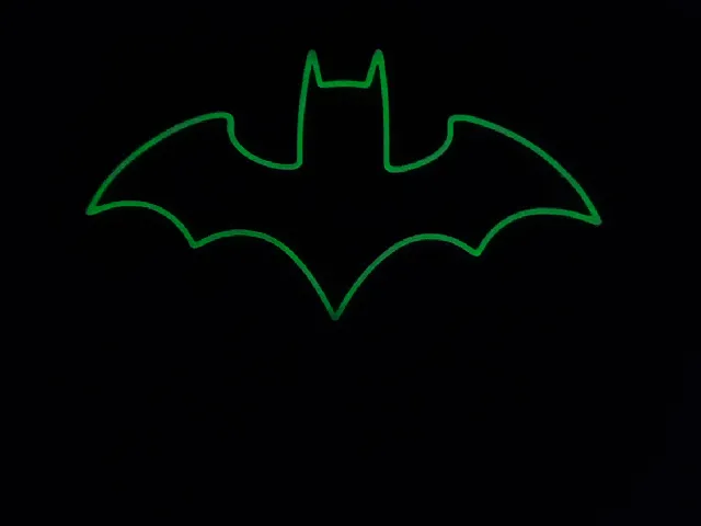 Bat Logo - Wall Decor Art (Only 2g)