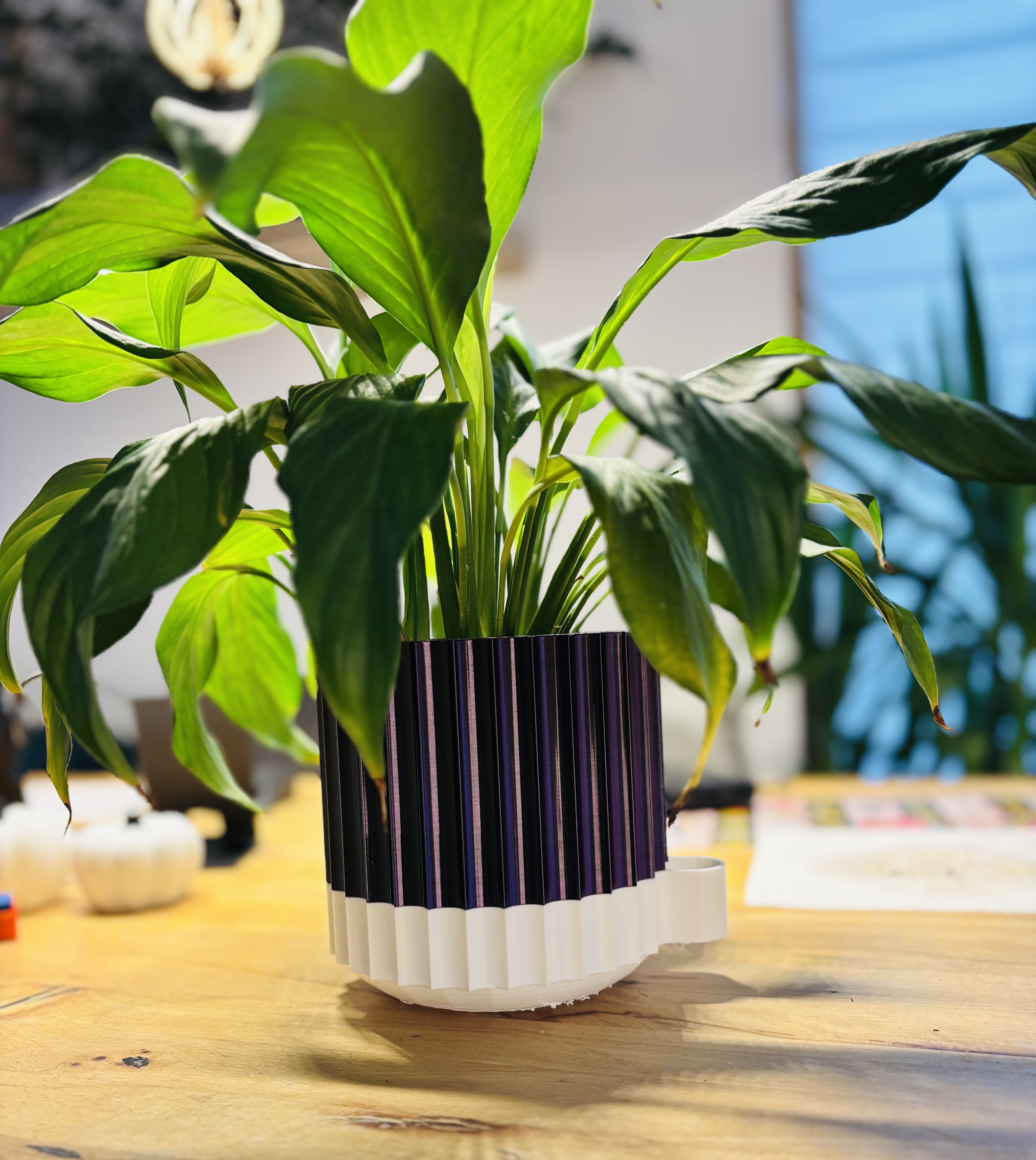 pot, flower pot