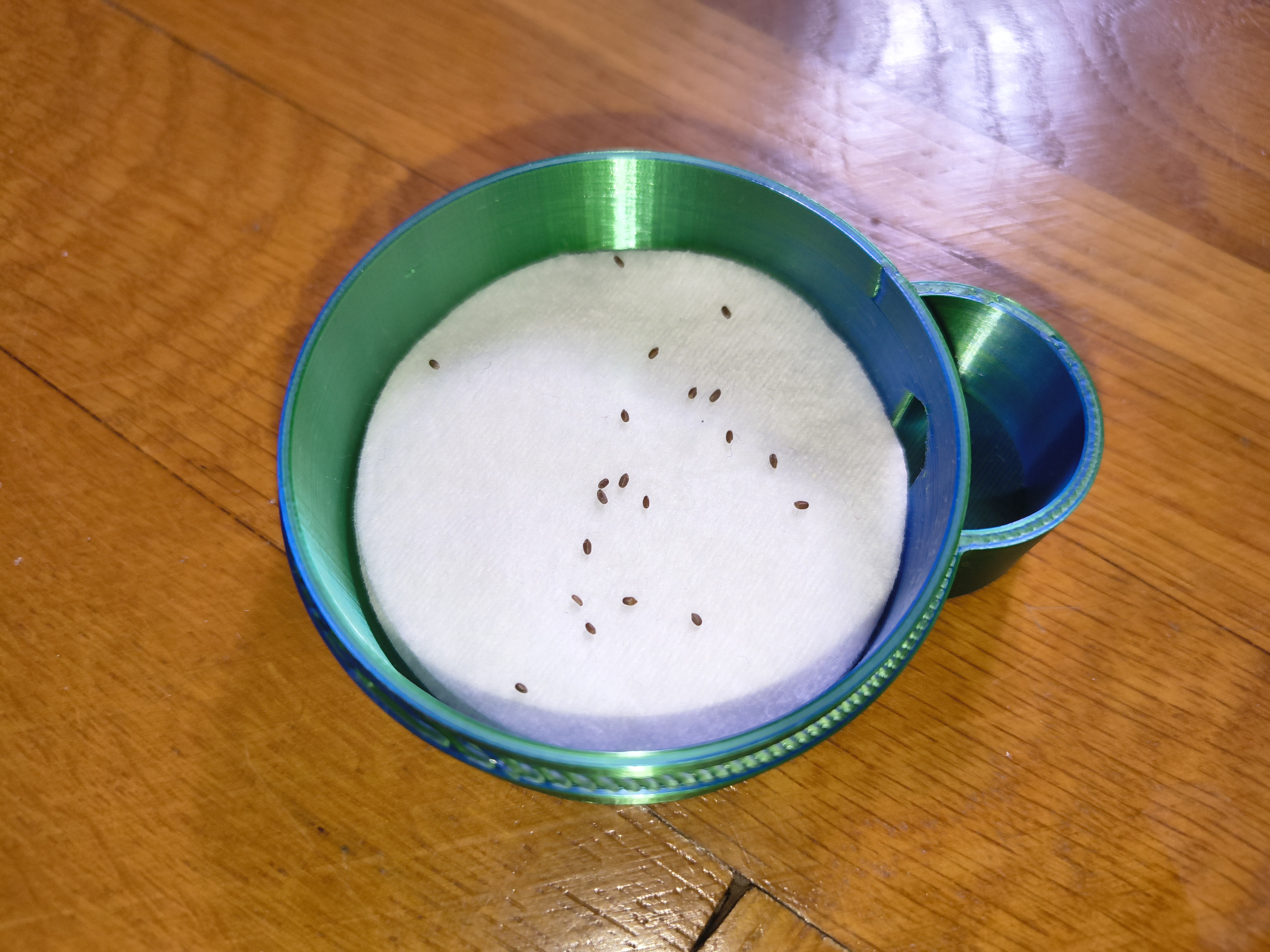 Cotton pad seed starter — miniatura 3