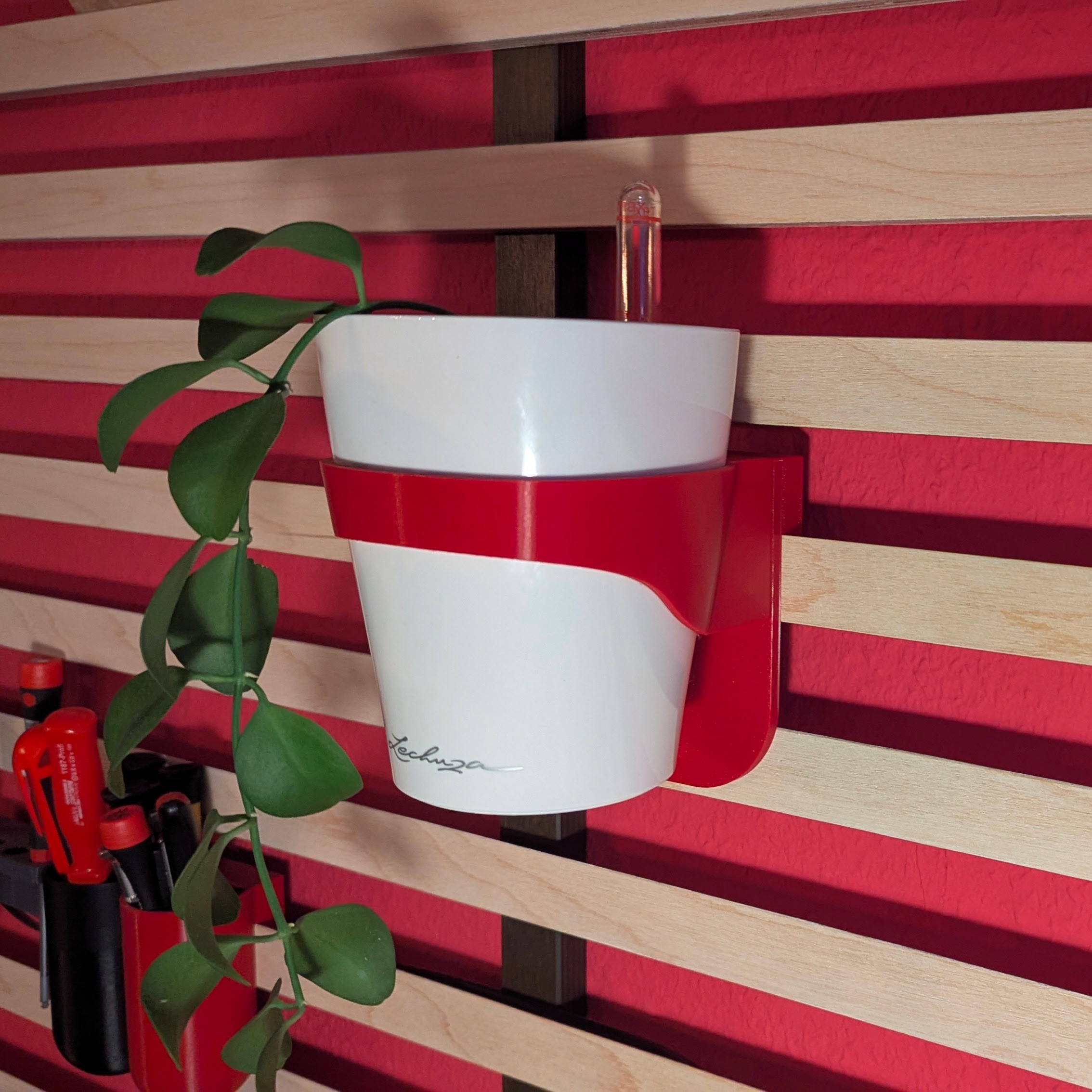 Lechuza Mini Deltini modular wall hanger with french cleat