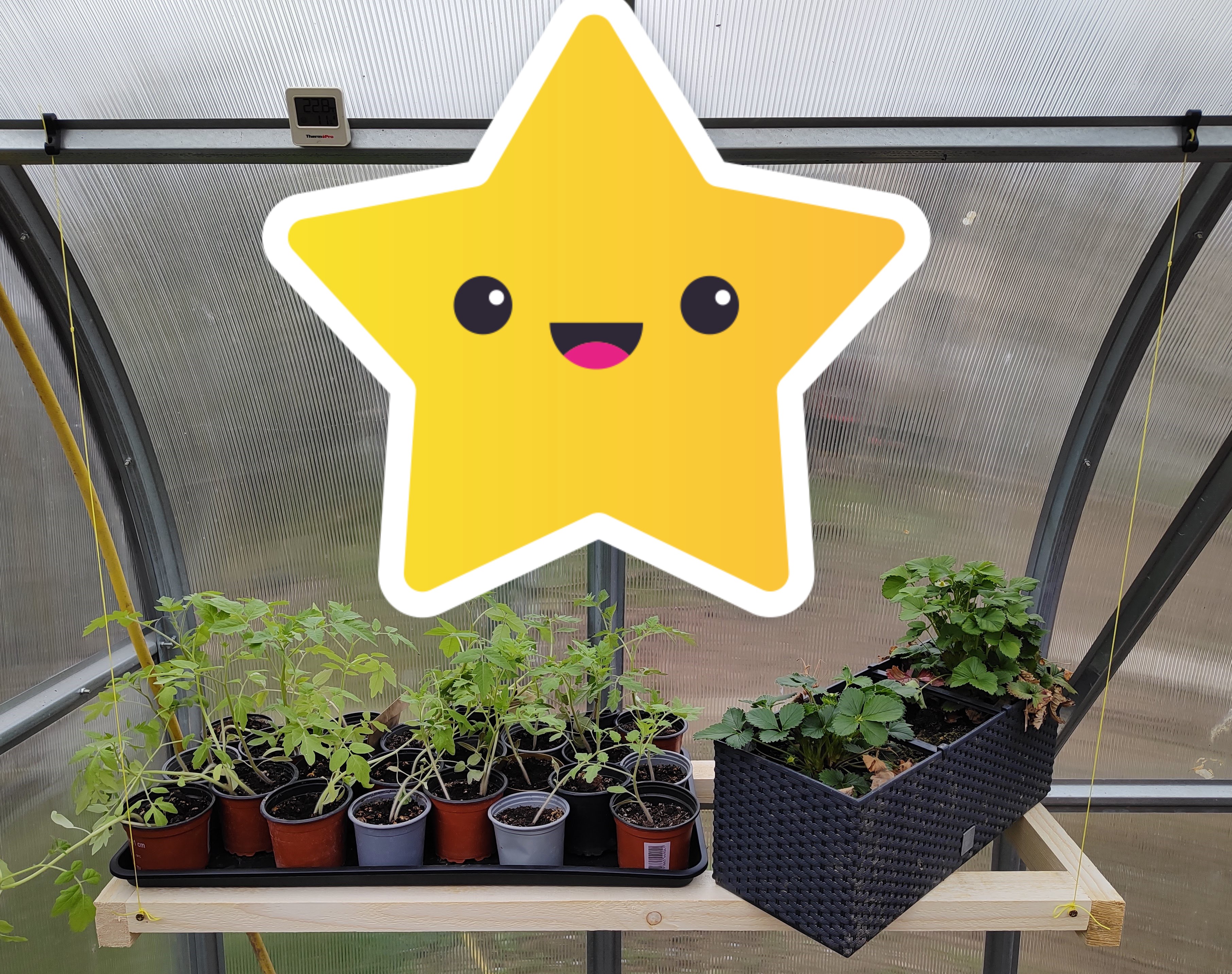Greenhouse string holder — miniatura 3