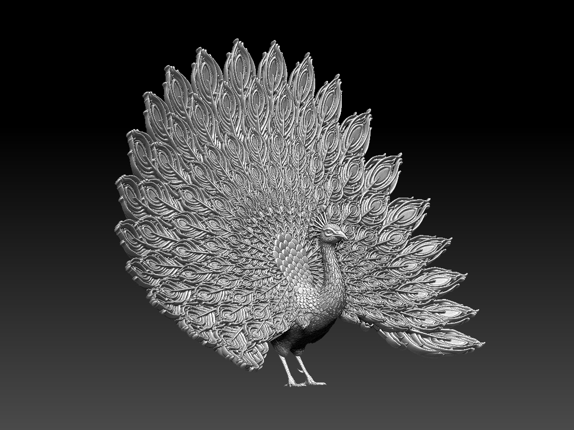 peacock