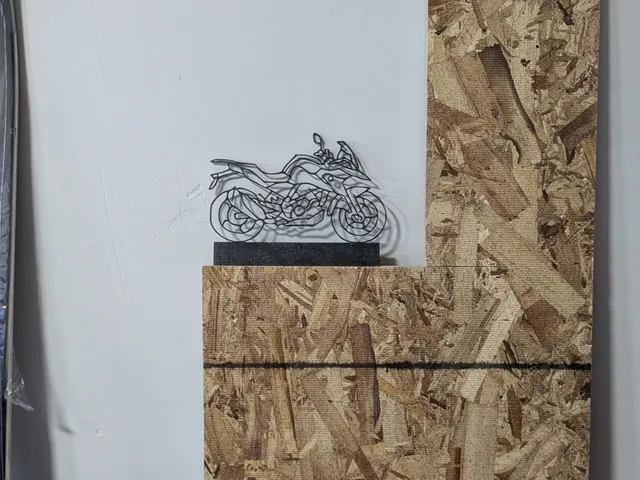 BMW G 310 GS Line Wall Art