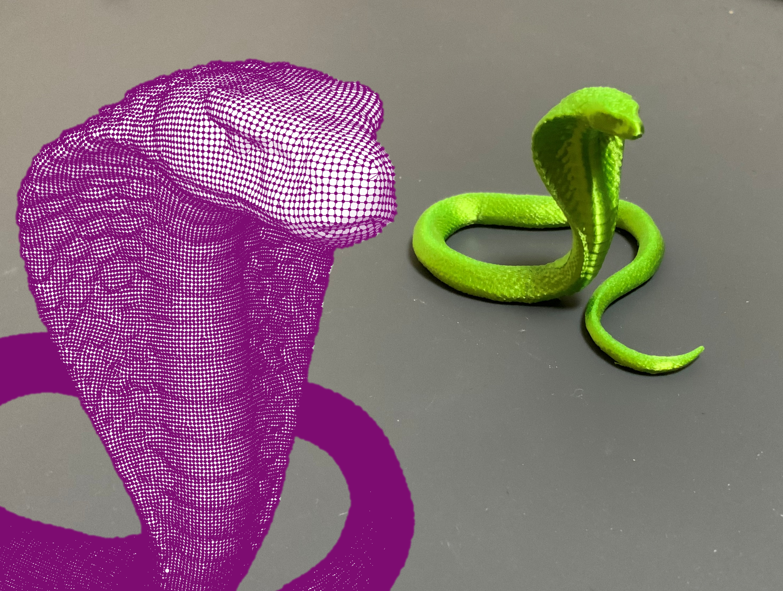 Cobra/Snake - 3d outline