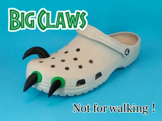 Raptor Crocs