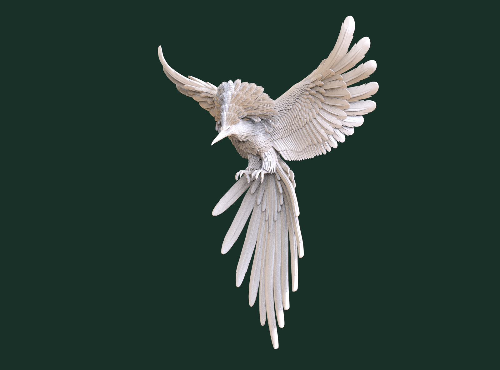 bird