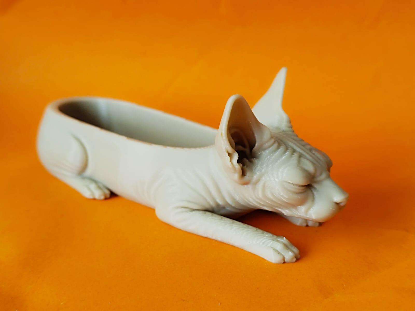 Sphynx Cat Coin Holder Tray deco