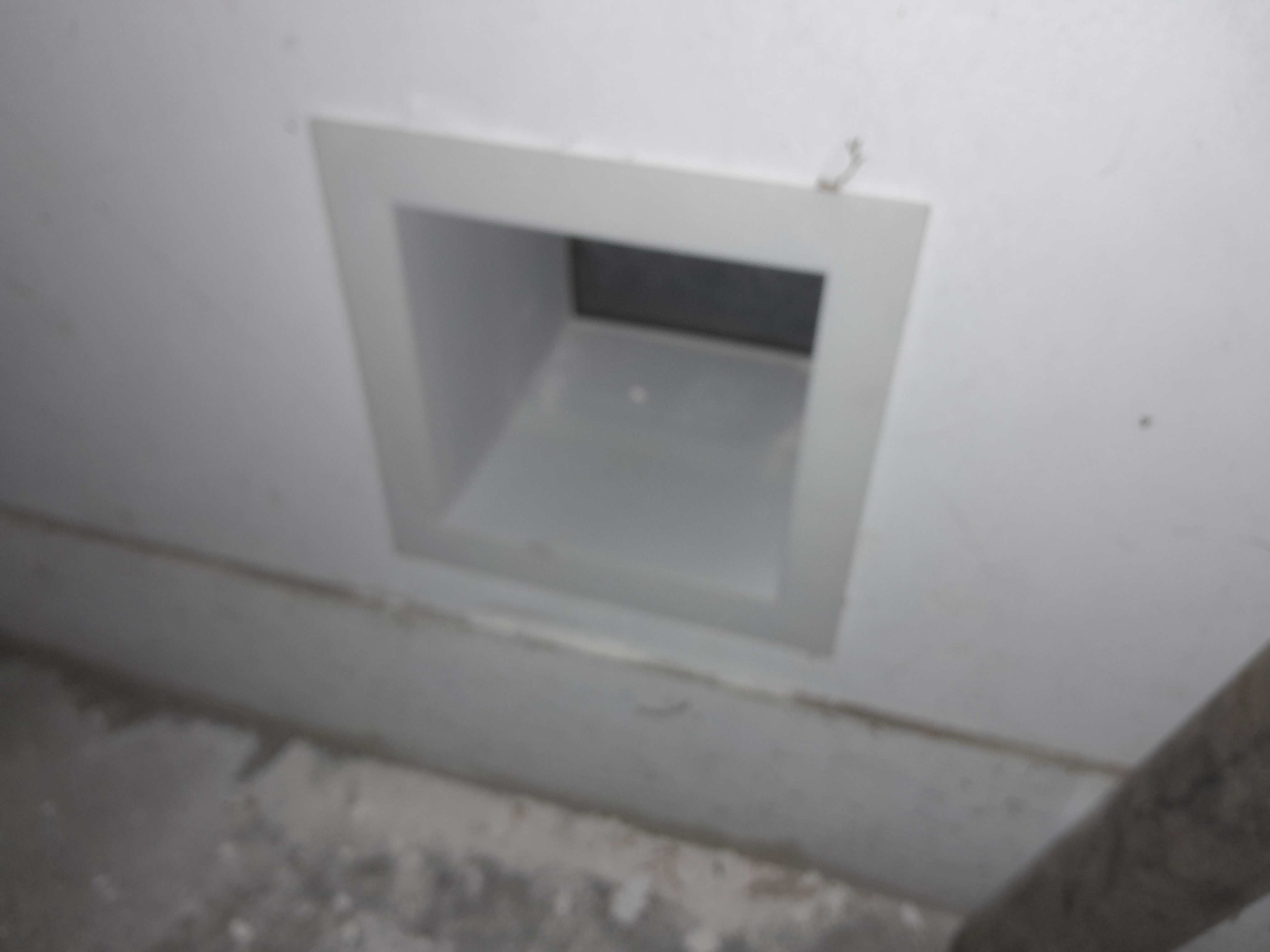 Cat door pass through portal