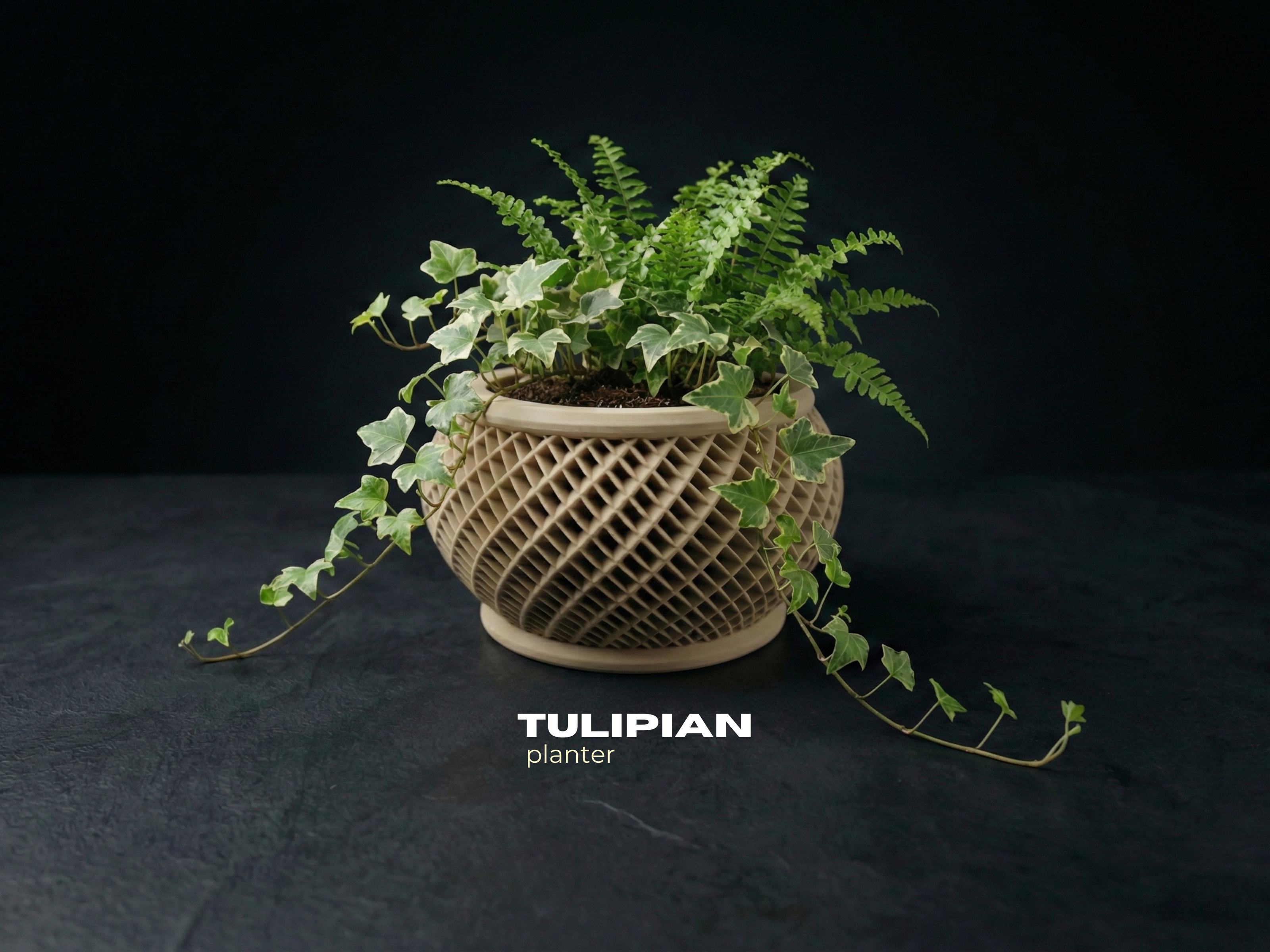 Tulipian Planter 3D model by 3D Paint Lab