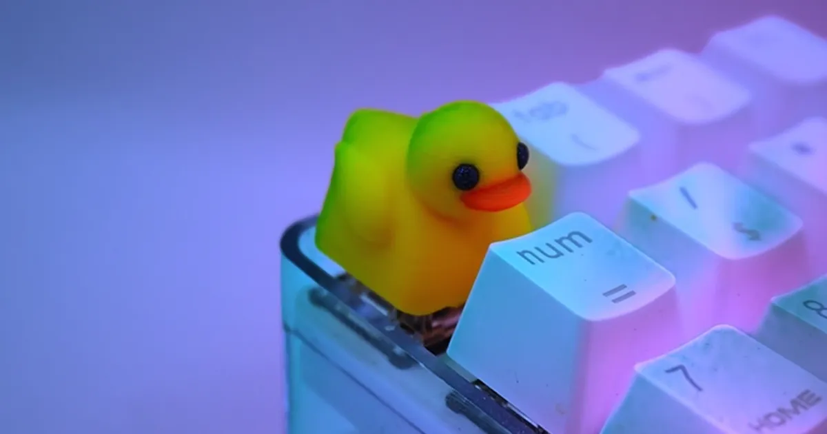 Duck kailh switch keycap remixed by craycray makerworld