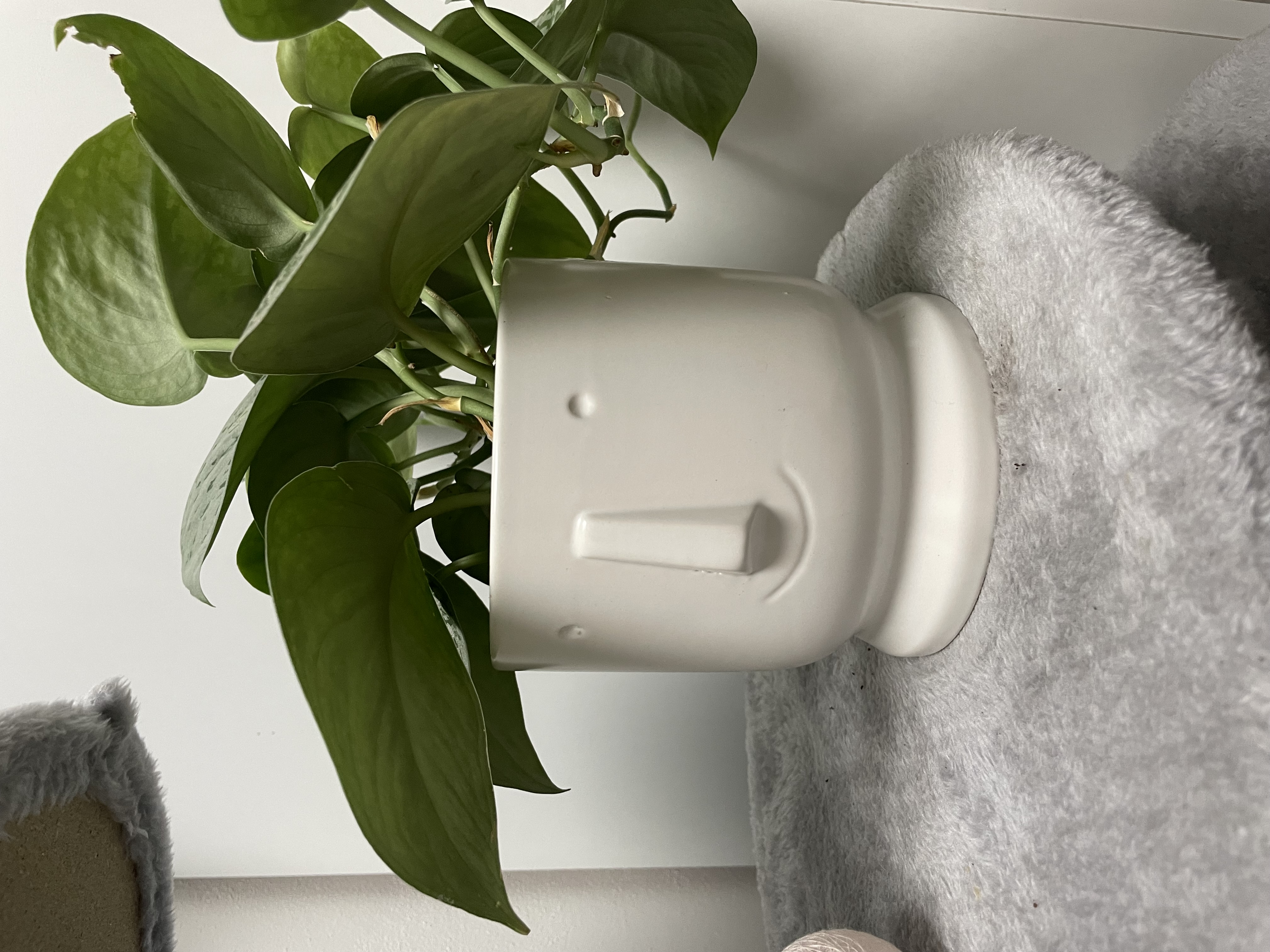 Smile Flowerpot