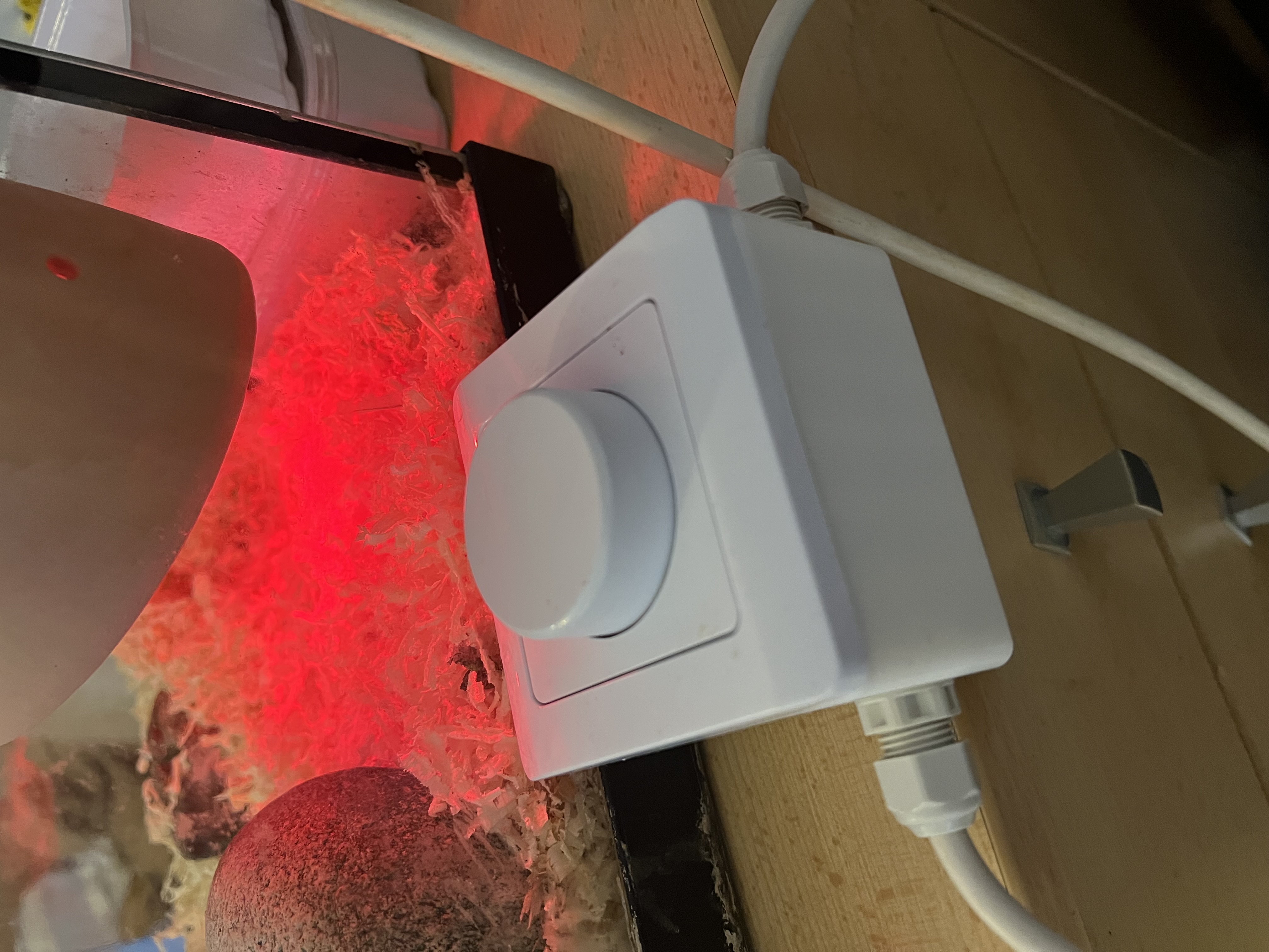 Box for electricity — miniatura 2