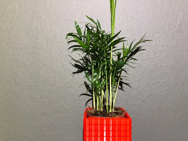 cube vase,
