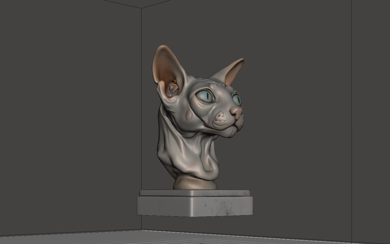Sphynx Cat Head