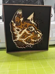 Image preview