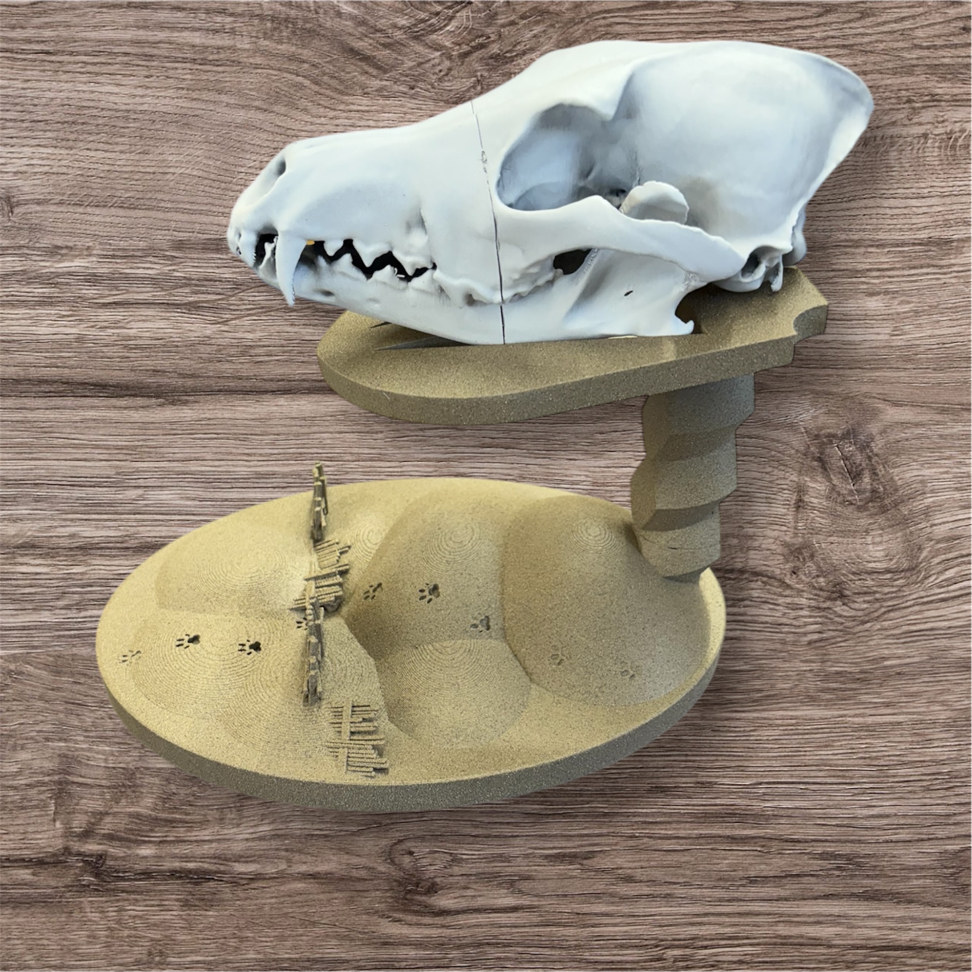 Coyote & Badger Skull Display Stand — Western Fence Terrain Base | Hunting Cabin Decor | STL 3D Printable