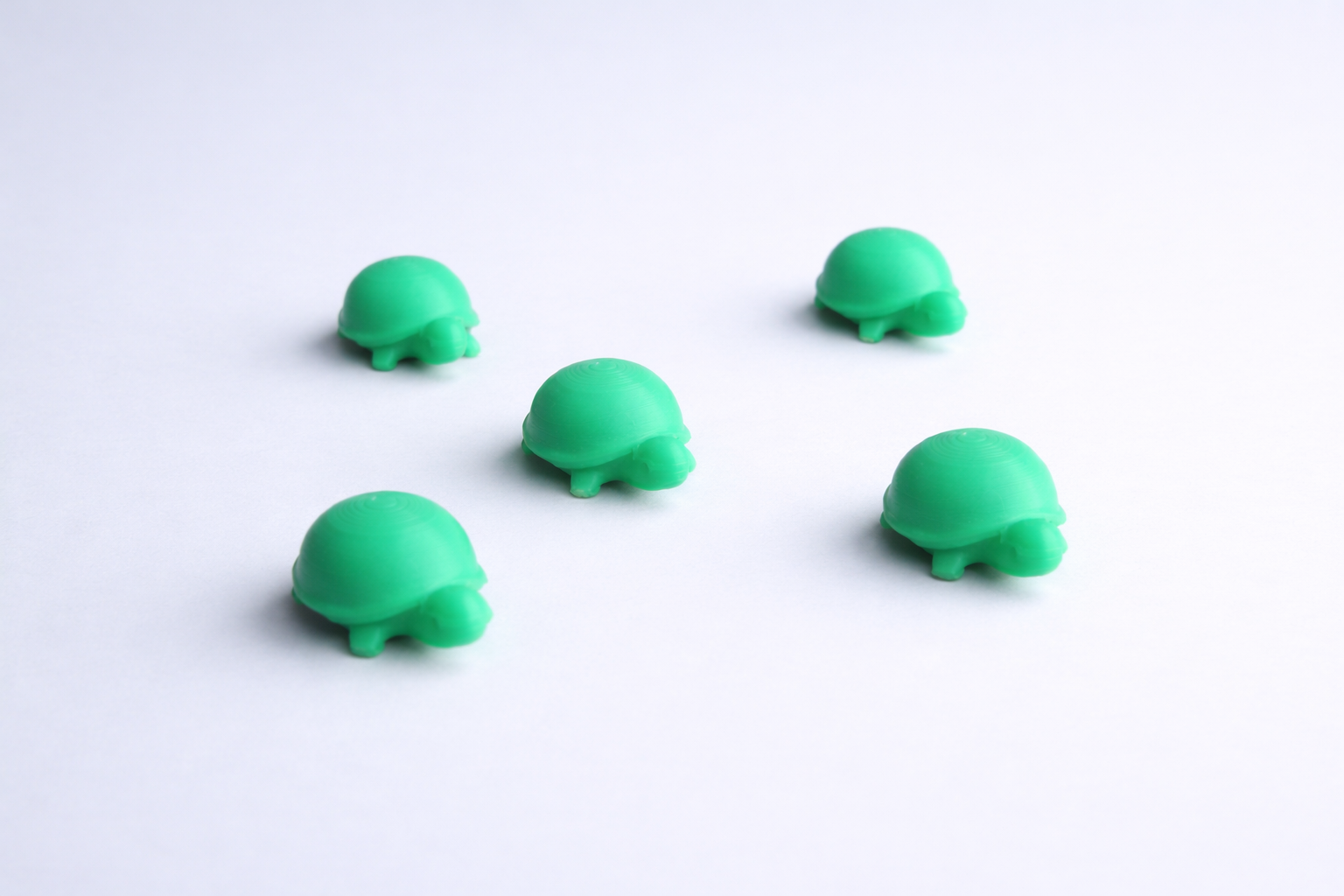 Miniatura 3 do modelo 3D Mini Turtle Buddy