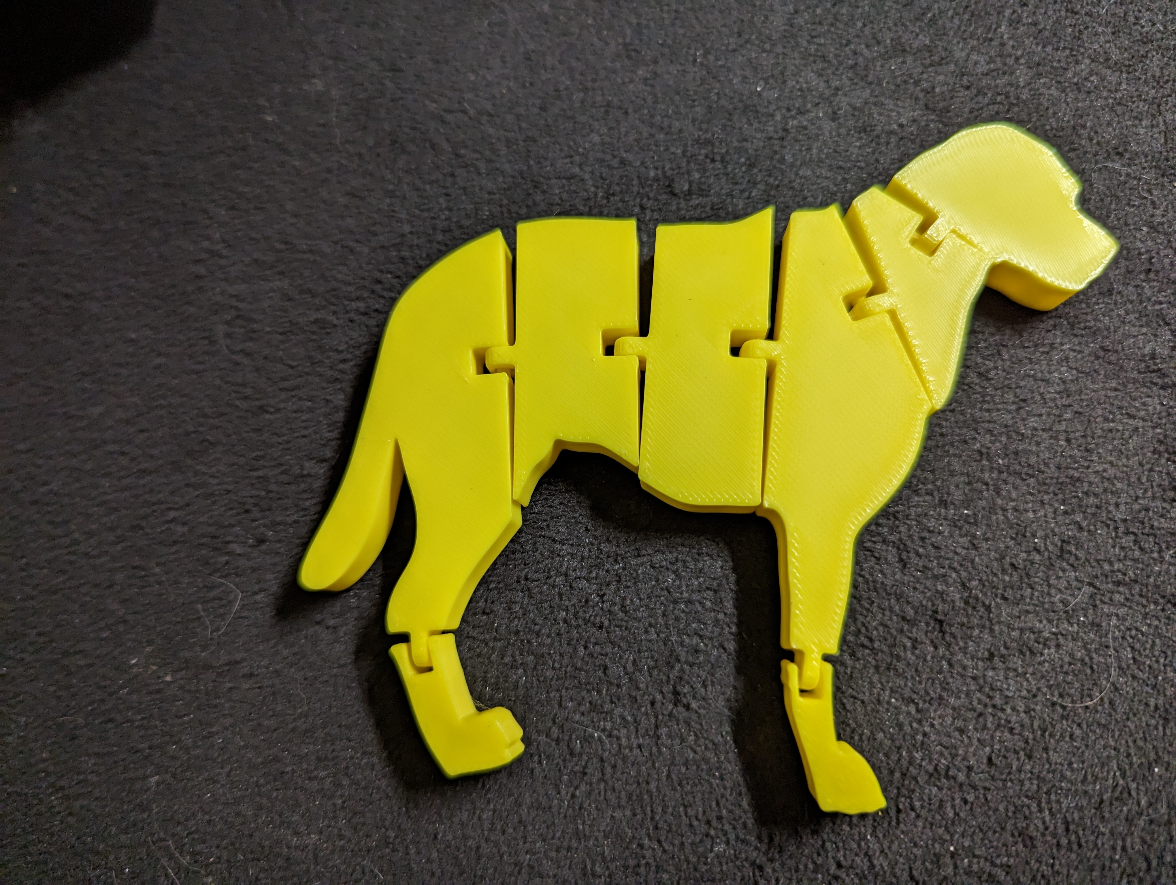 Articulated dog