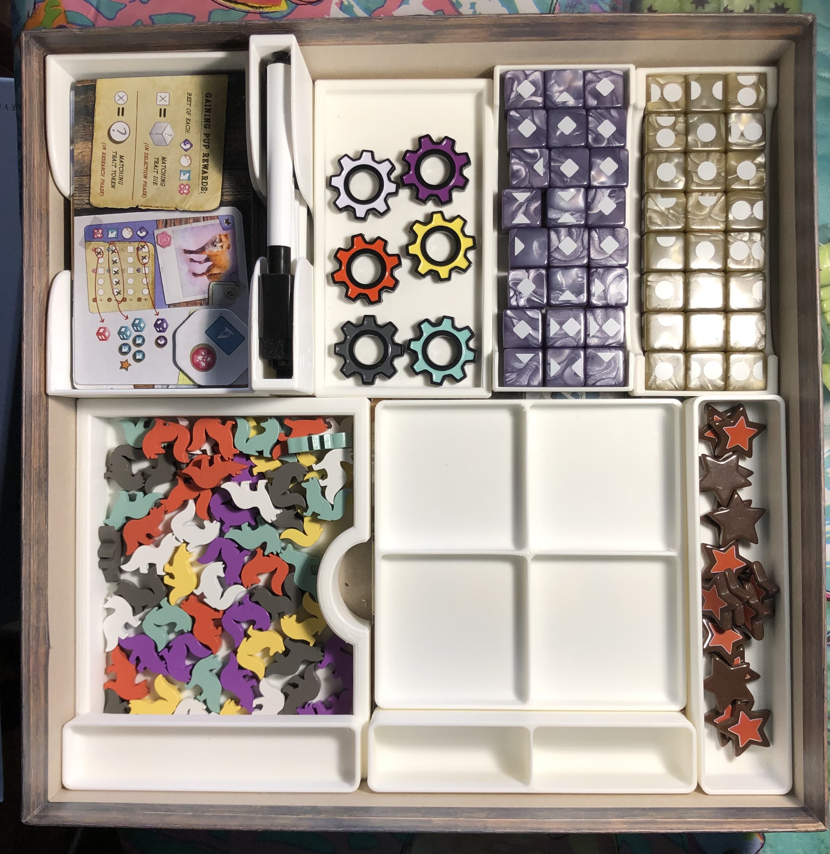  Insert / Organizer with Individual Player Trays for Dominant  Species : Toys & Games