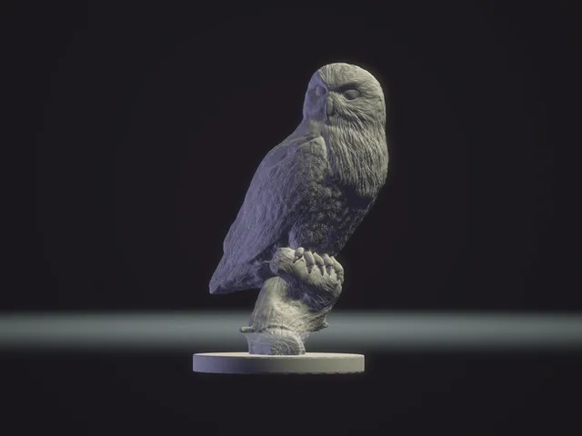 Snow Owl Standing
