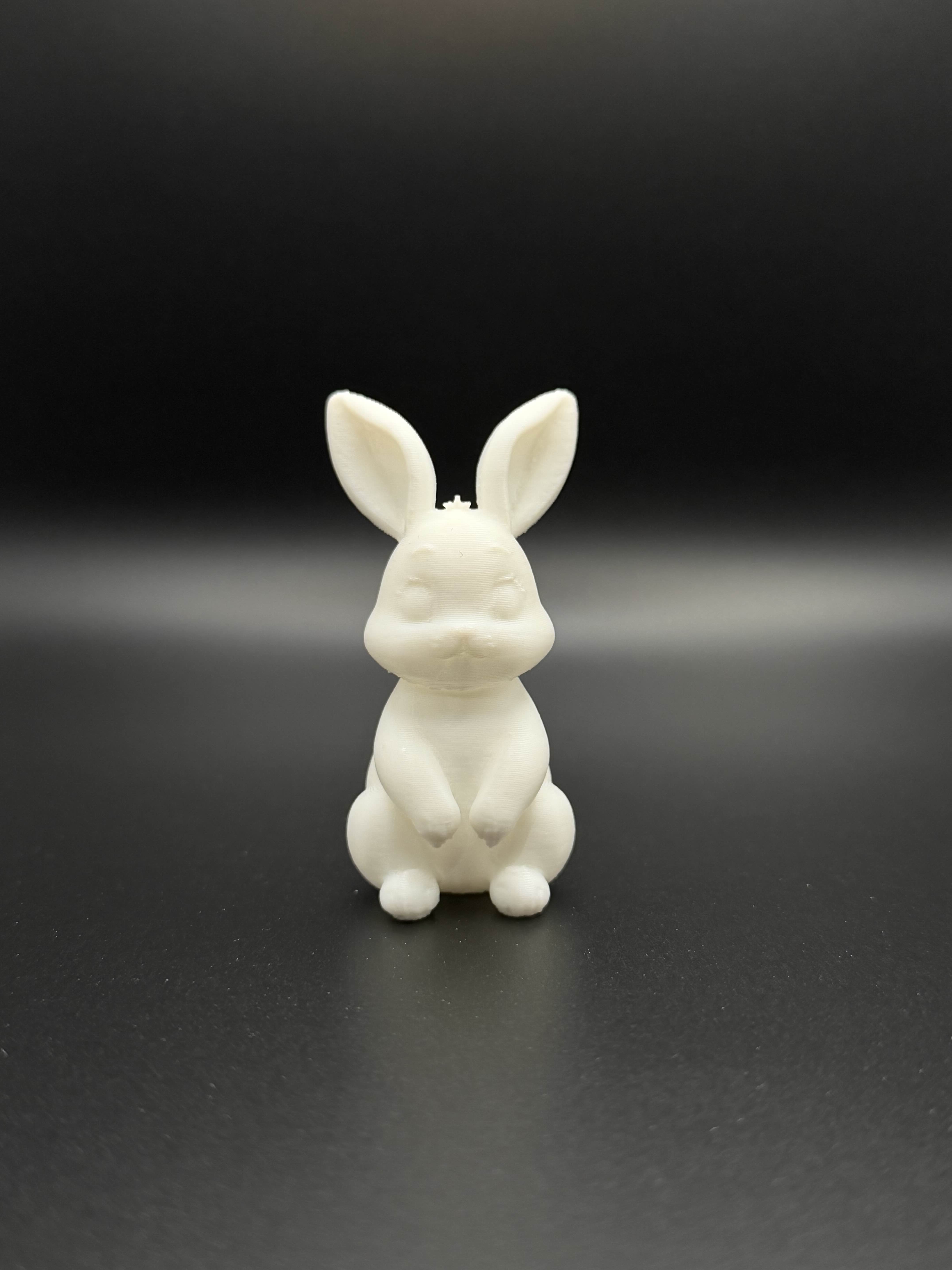 Cute Sitting Bunny