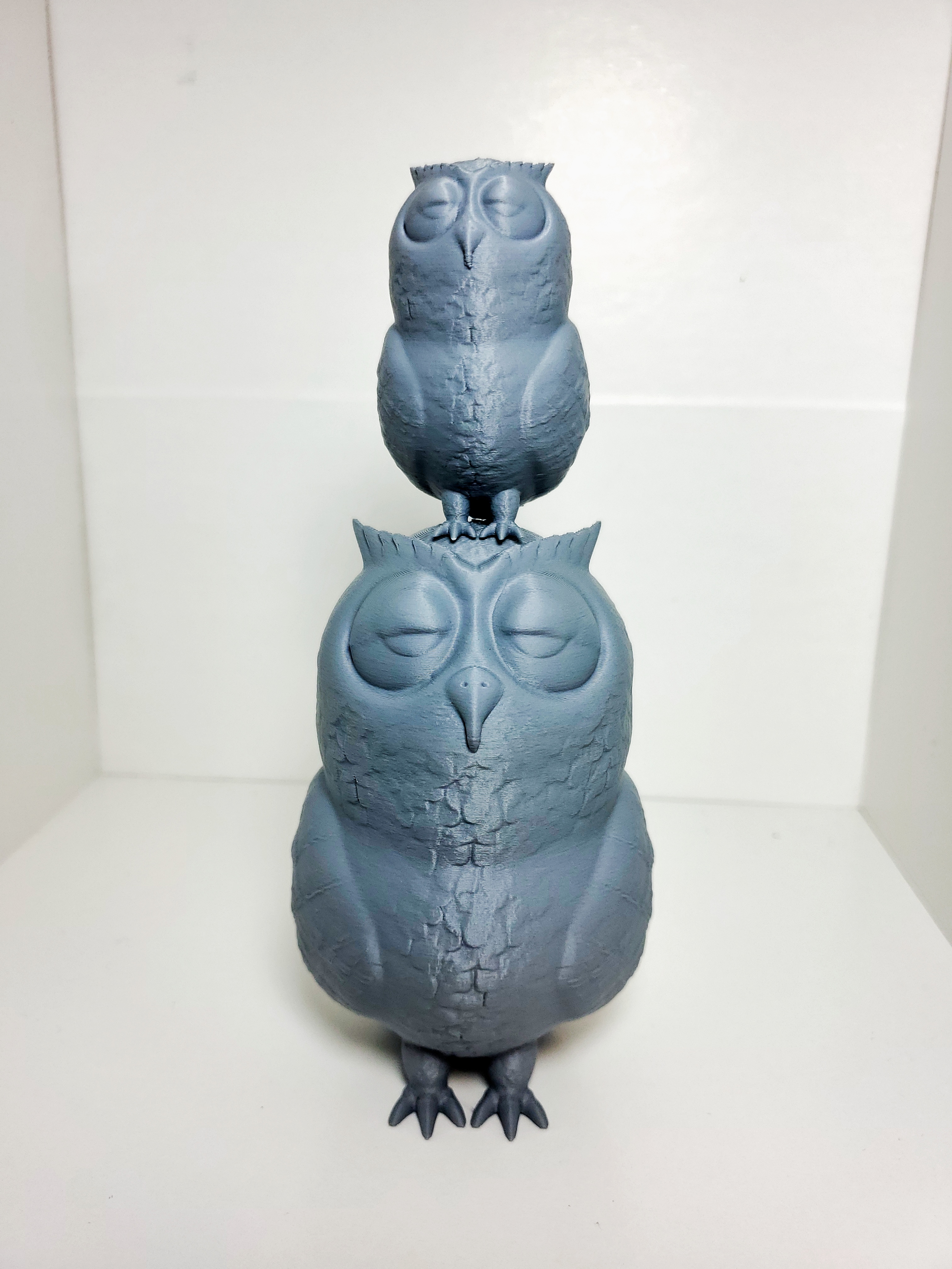Sleepy Owl