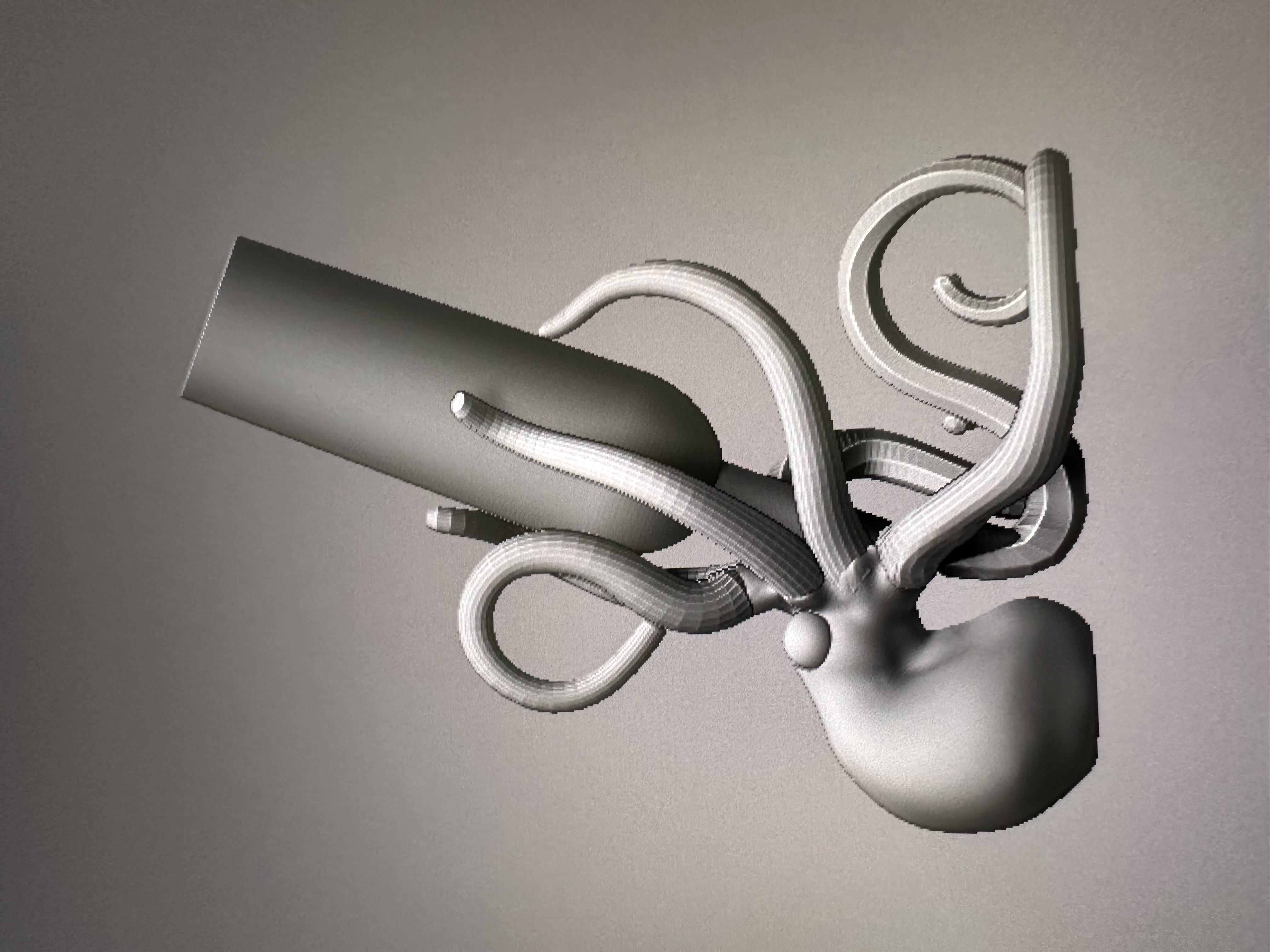 Octopus Wine bottle holder by Rob Beast (All Things STL) Download