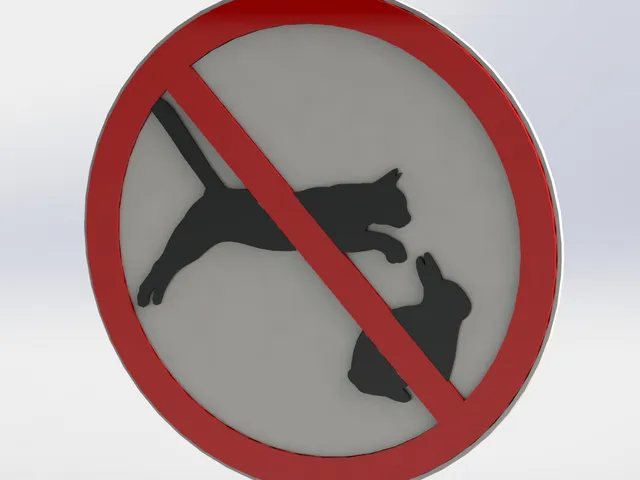 Do not attack the rabbit