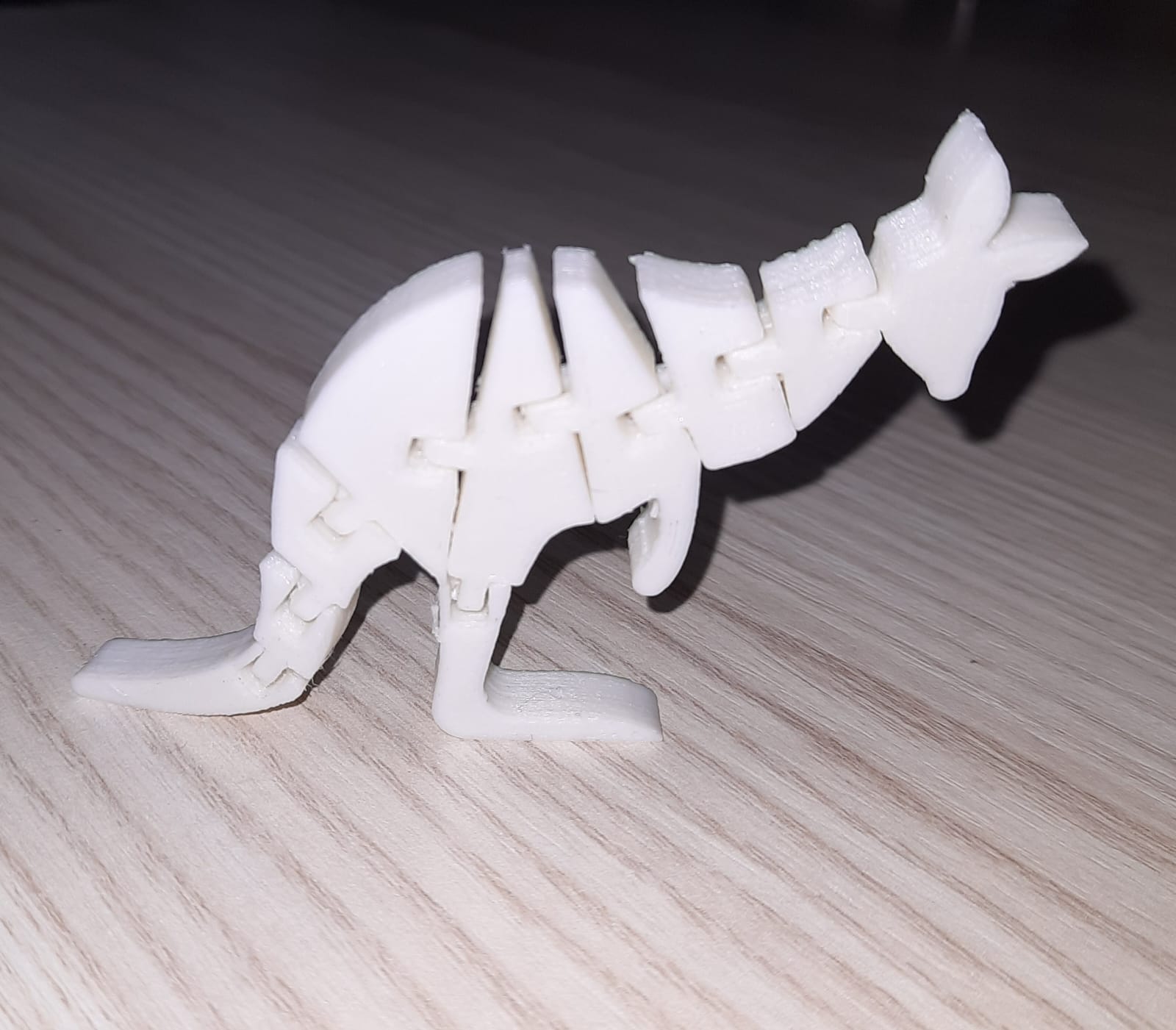 Flexi Kangaroo