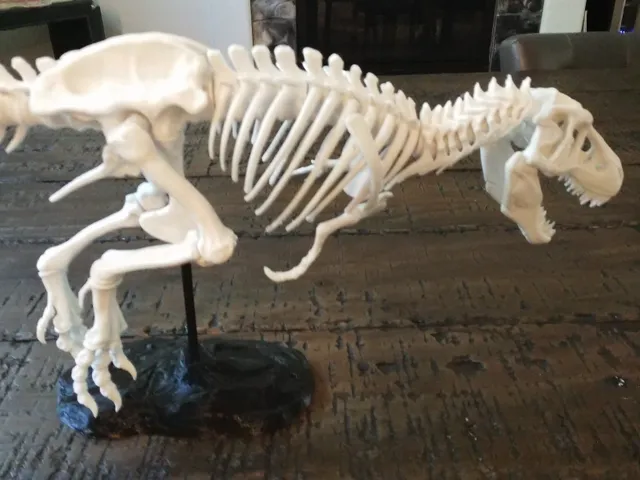 T-Rex Skeleton