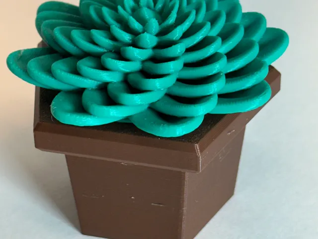 Plant in a Pot