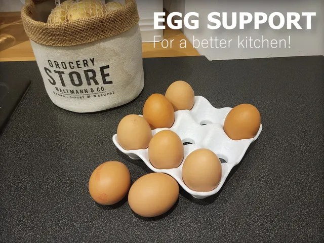 Egg Support