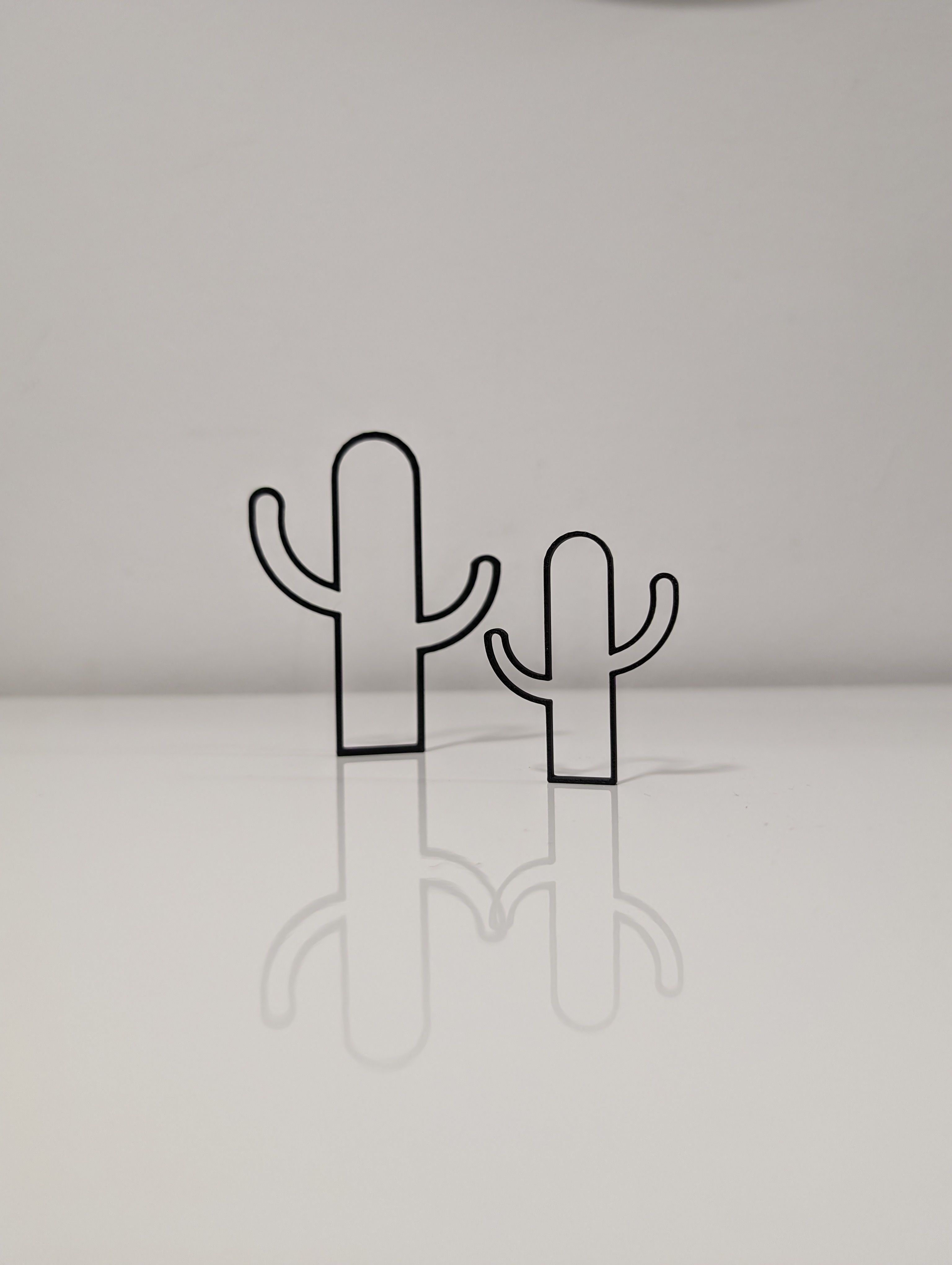 Minimalist Line Art Cactus