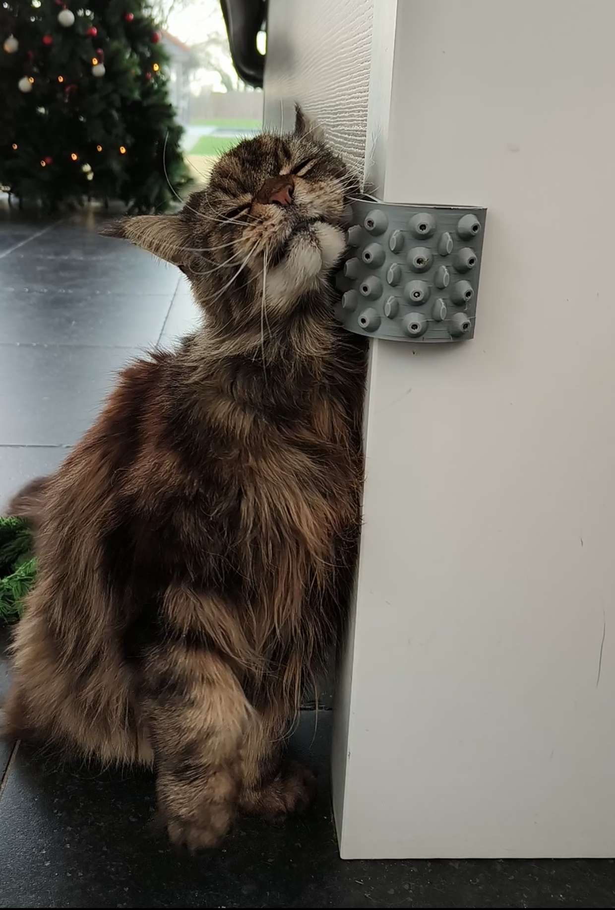 Cat scratch corner (can be filled with catnip!) by iluzion Download